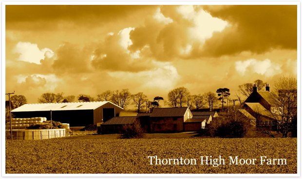 Thornton High Moor