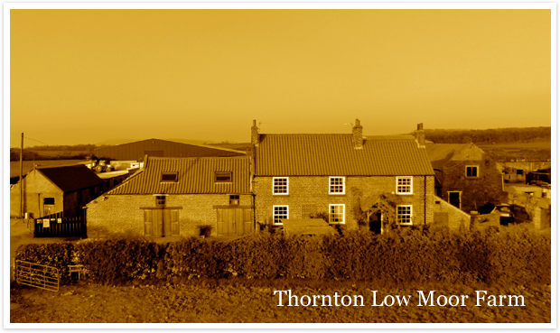 Thornton Low Moor